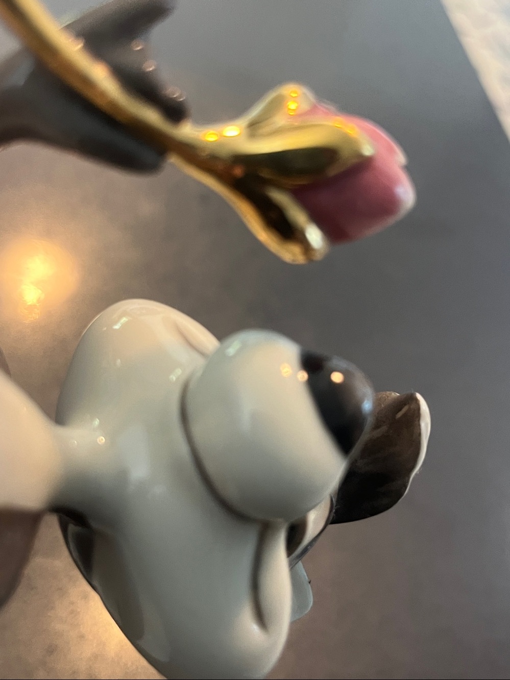 Peppe Pics - Picture 17 of 17
